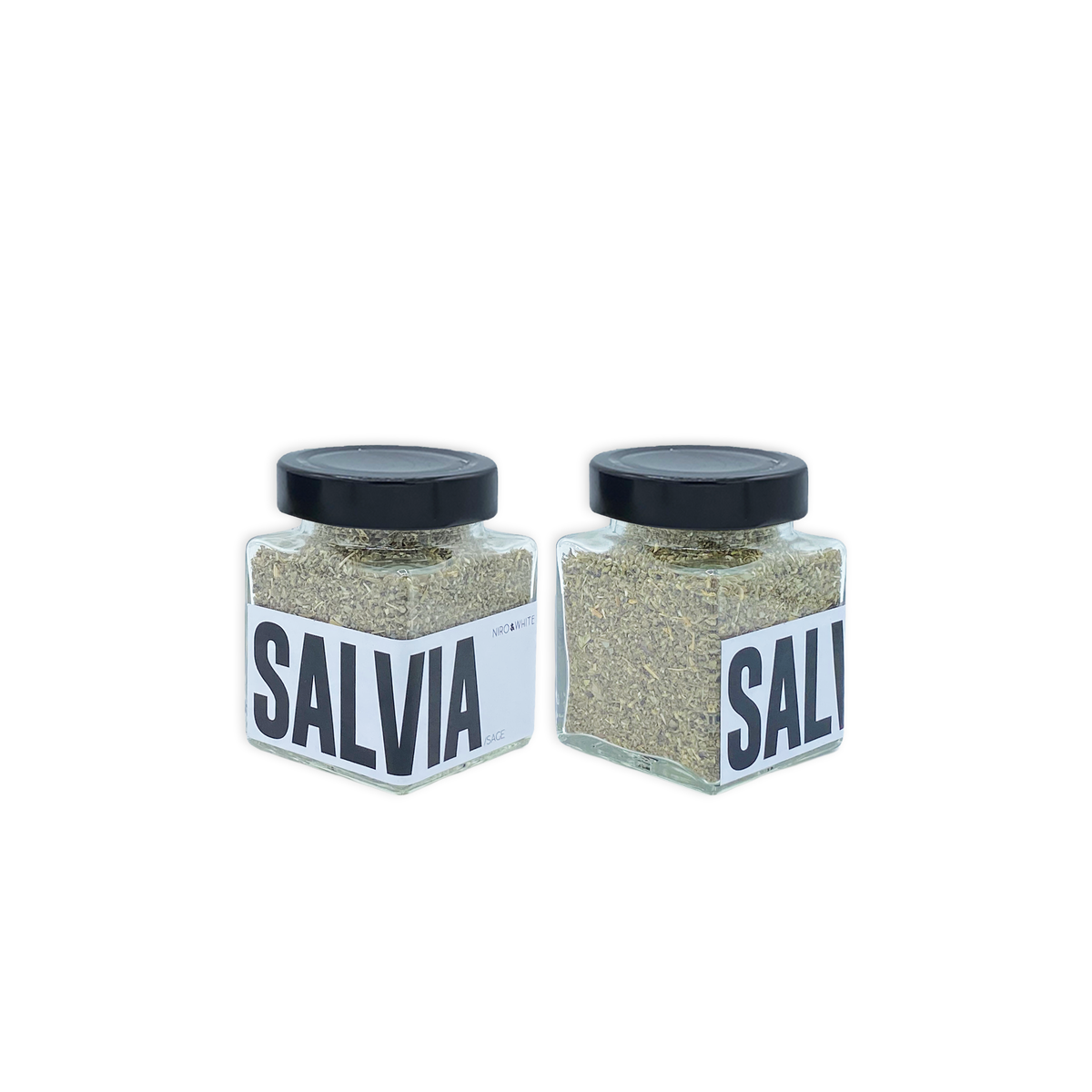 SALVIA